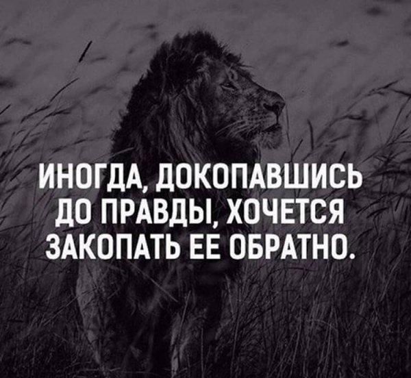 Интересные фразы