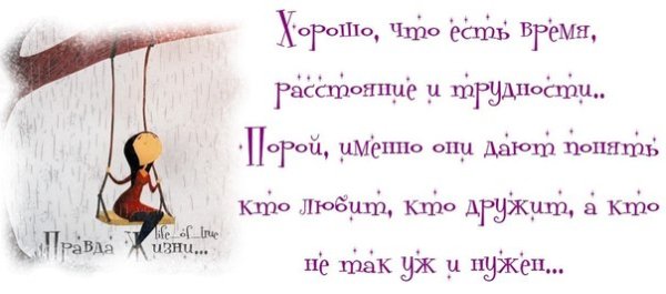 Прикольные высказывания про жизнь с юмором короткие