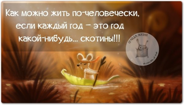 Жить по человечески