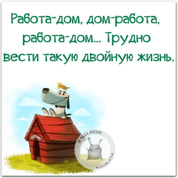 Статусы со смыслом прикольные