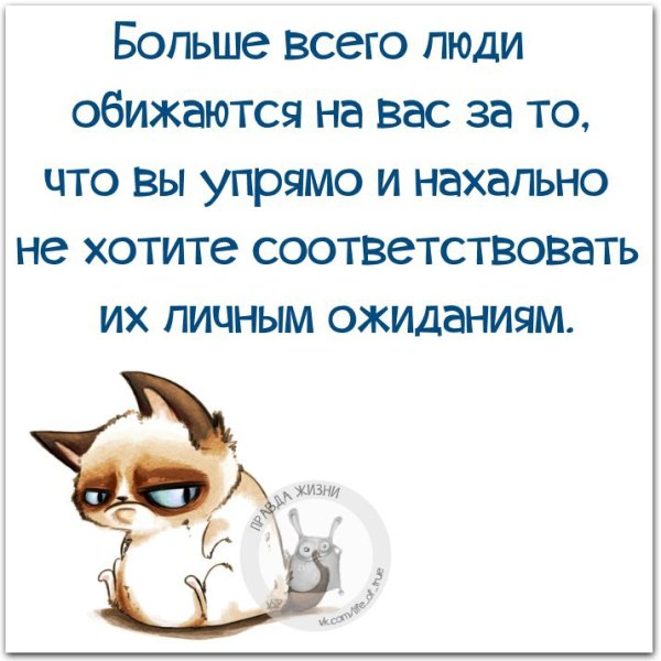 Афоризмы про жизнь с юмором