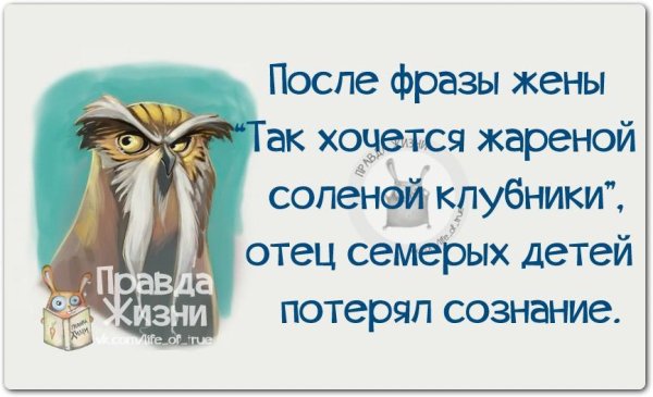 Умные и смешные цитаты