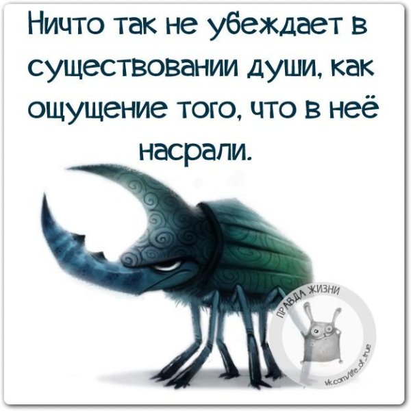 Психология картинки со смыслом с юмором