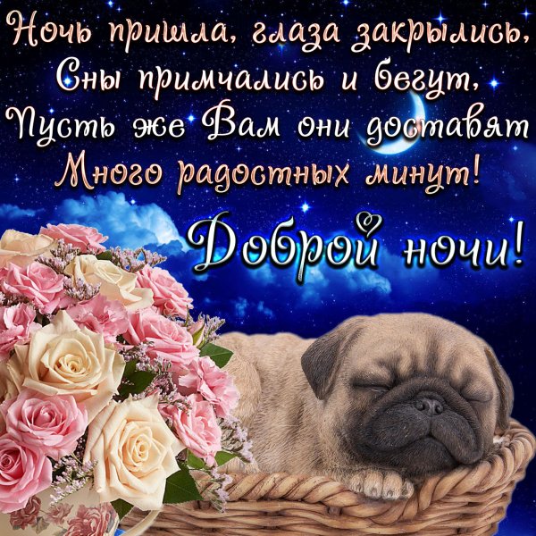 Открытки спокойной ночи