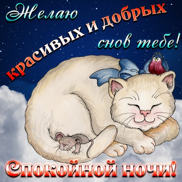 Пожеланияпойкокйной ночи
