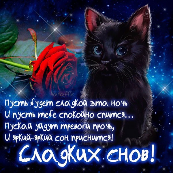 Спокойной ночи сладких снов