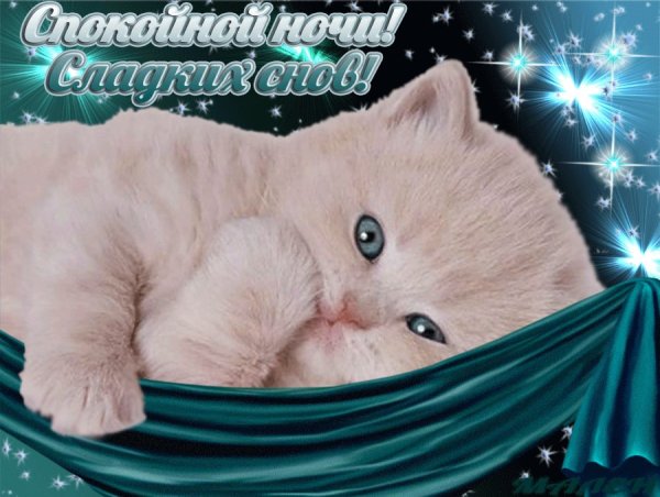 Доброй ночи