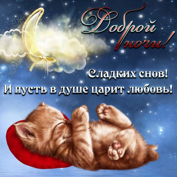 Пожелания спокойной ночи девушке