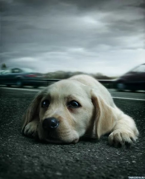 Грустно картинки с надписями