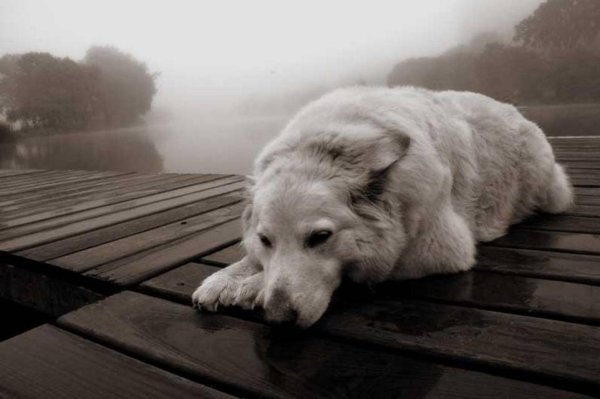 Картинки когда грустно