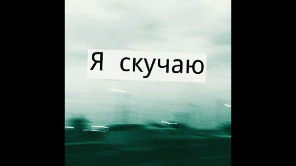 Одинокий образ жизни