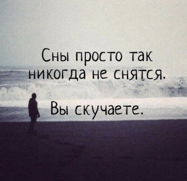 Брошенный плюшевый мишка