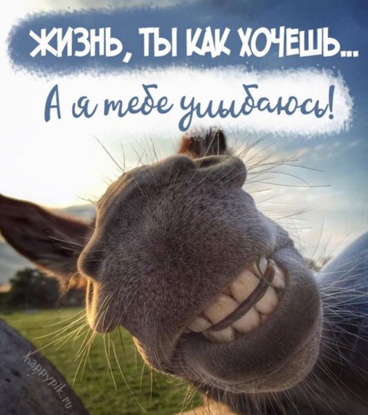 Настроение цитаты