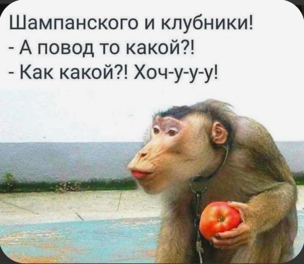 Солнце воздух пофигизм укрепляет организм
