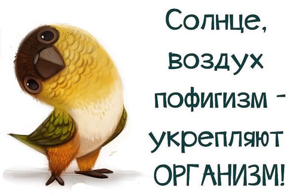 Статус интересный с юмором