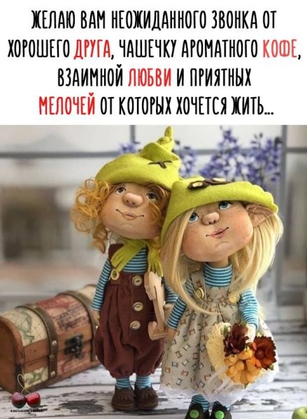 Смешные цитаты на каждый день