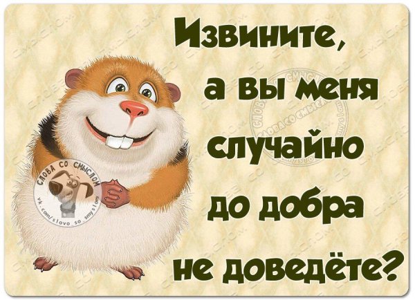 Хорошего настроения прикольные