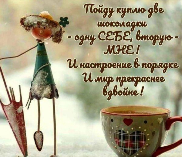 Веселые цитаты