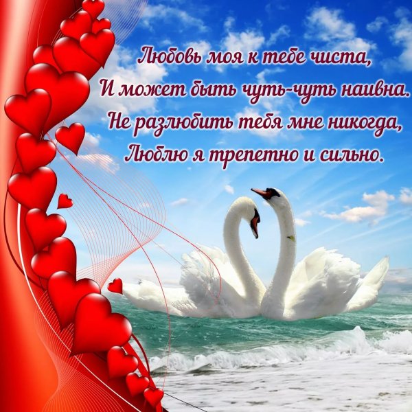 Открытки для любимого человека