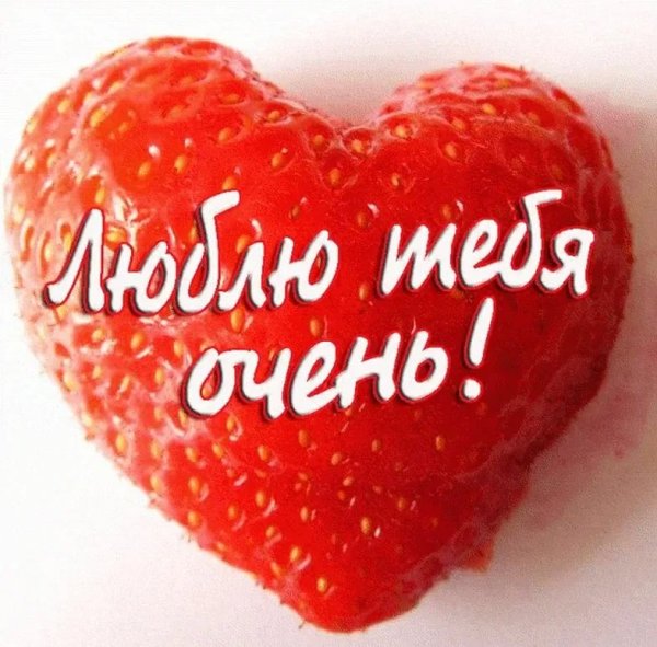 Любимый мой