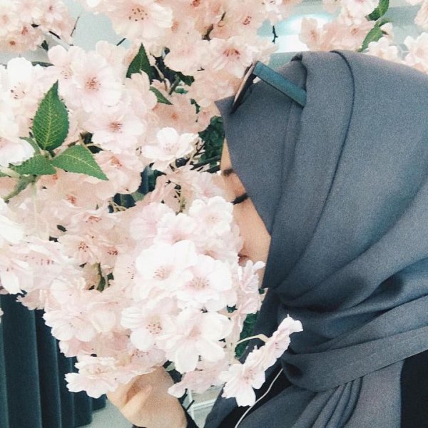 Мусульманские девушки в платках