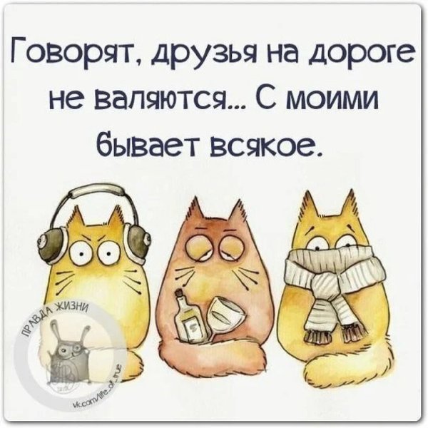 Прикольные цитаты в картинках