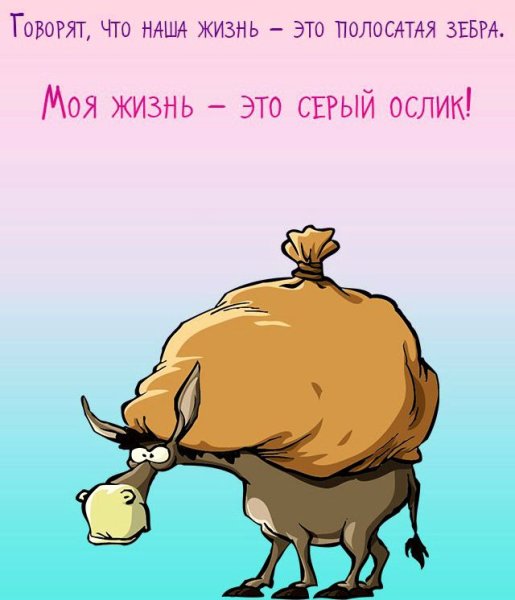 Приколы в картинках про жизнь