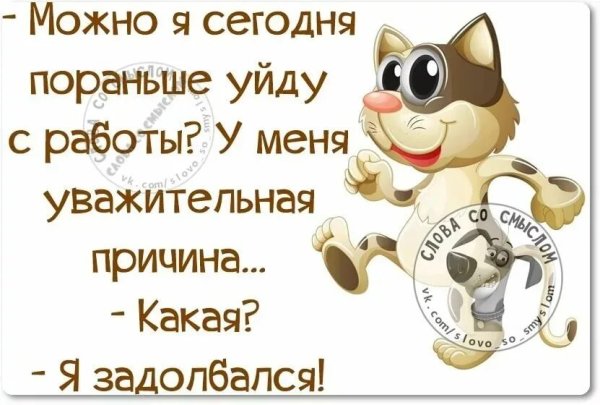 Смешные цитаты со смыслом