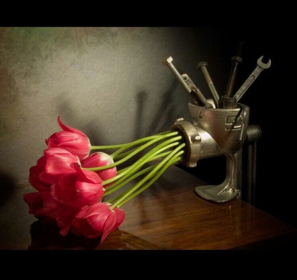 Смешные цитаты со смыслом