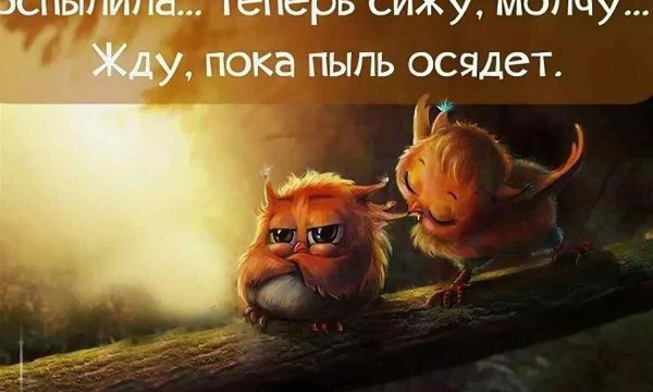 Смешные высказывания