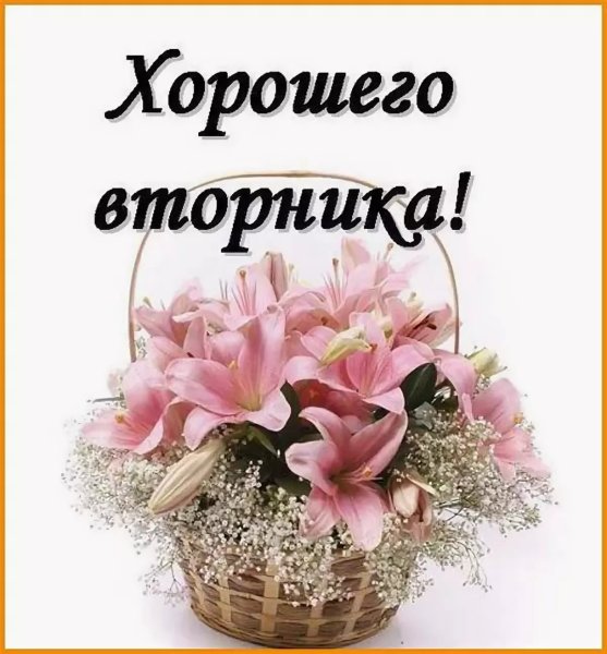 Маленькая корзинка с лилией