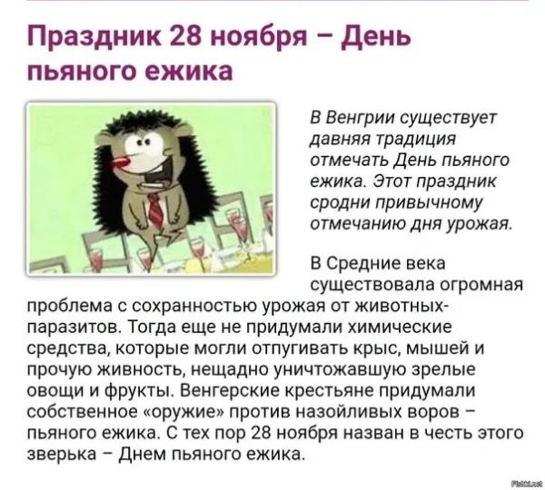 Праздник день пьяного ежика
