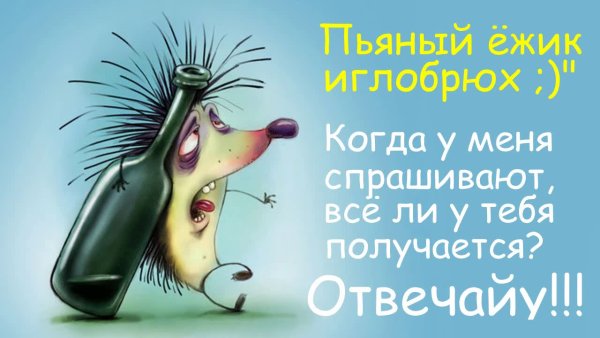 День пьяного ежика
