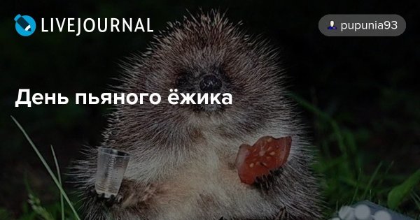 С праздником пьяного ежика