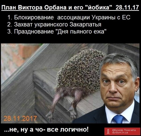 28 Ноября день пьяного ежа