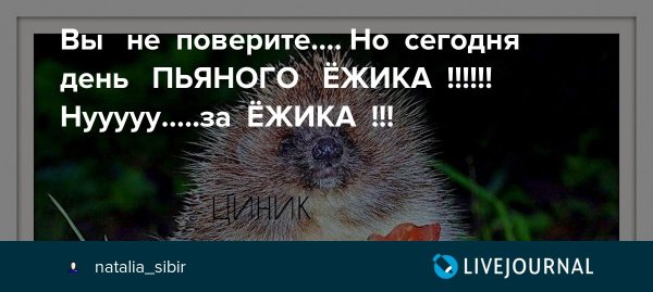 Демотиваторы февраль 2022