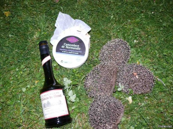 Кто рано встаёт тот в обед