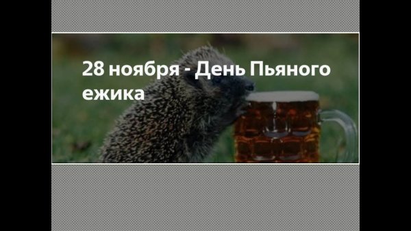 Пьяный Ежик