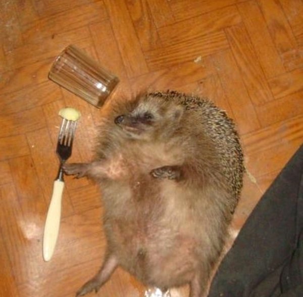 Жуткий Ёжик