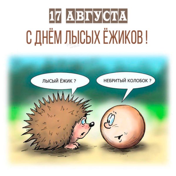 Ежик алкоголик