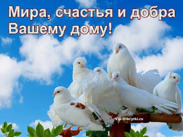 Мира счастья и добра вашему дому