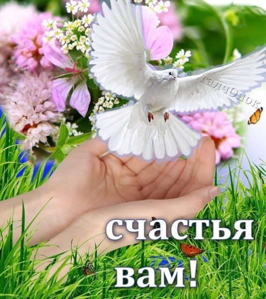 Добра любви и счастья