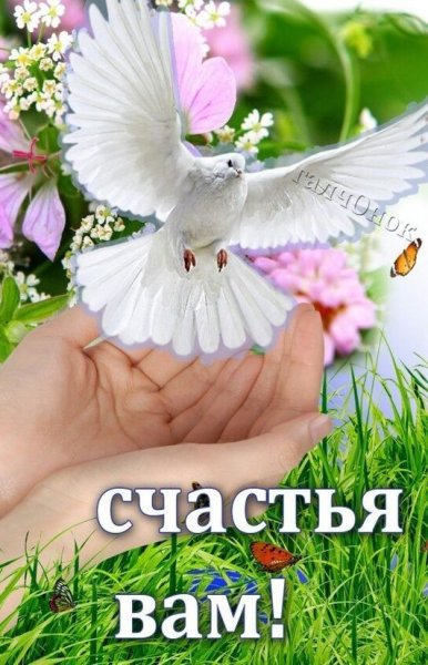 Пожелания счастья и добра