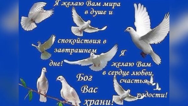 Пожелания мира и добра