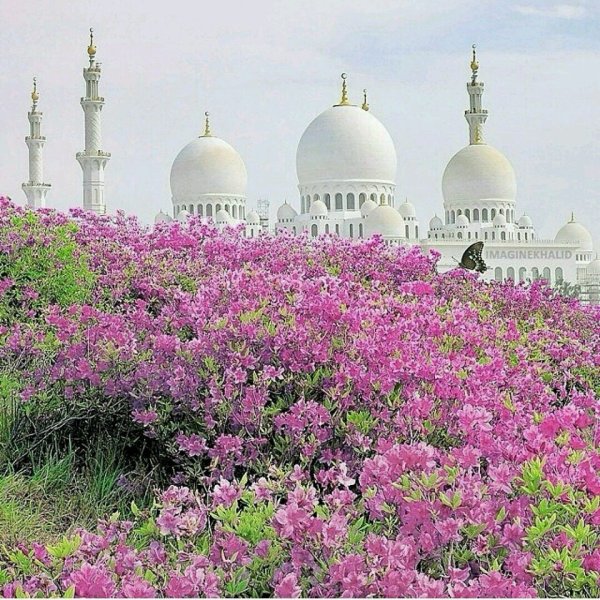 Курбан байрам