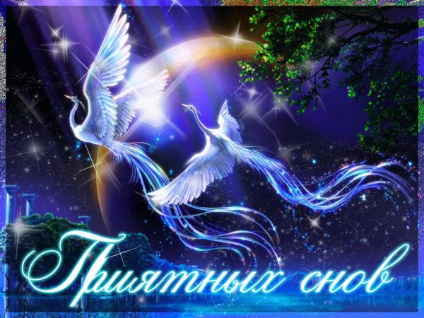Доброй ночи приятных сновидений