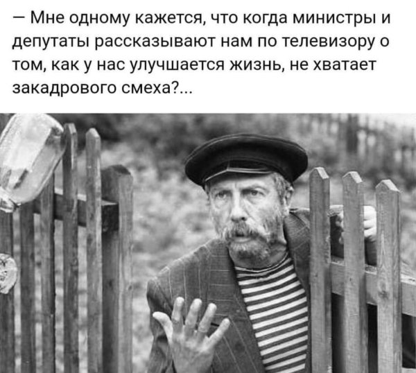 Эван Лазар юмор