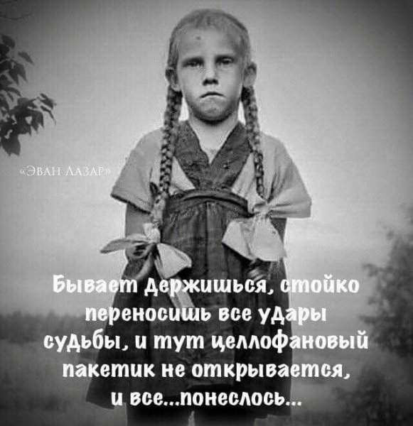 Эван Лазар 2021