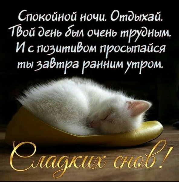 Пожиланиеимпаеойной ночи