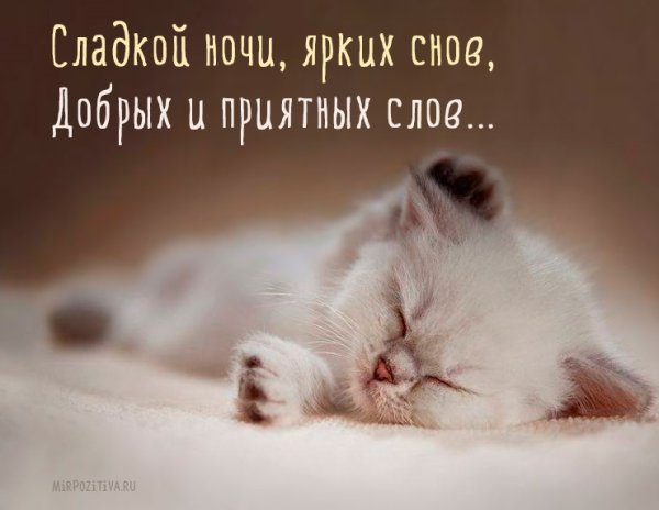 Пожиланиеимпаеойной ночи